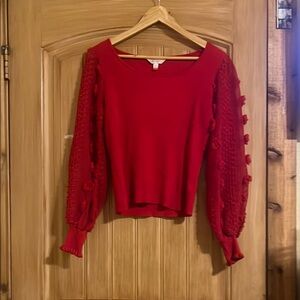 Red long sheer sleeve sweater